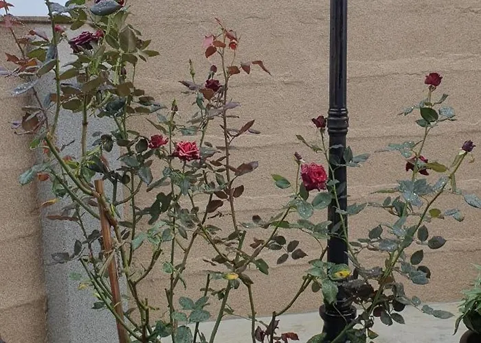 Casa Maria Hébergement de vacances